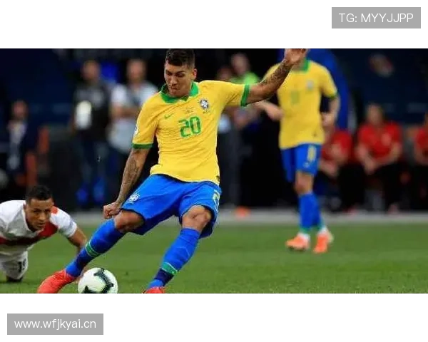 秘鲁队防守数据