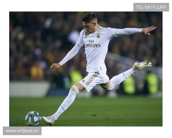 罗德里与巴尔韦德的动力型中场角色对比与适配差异